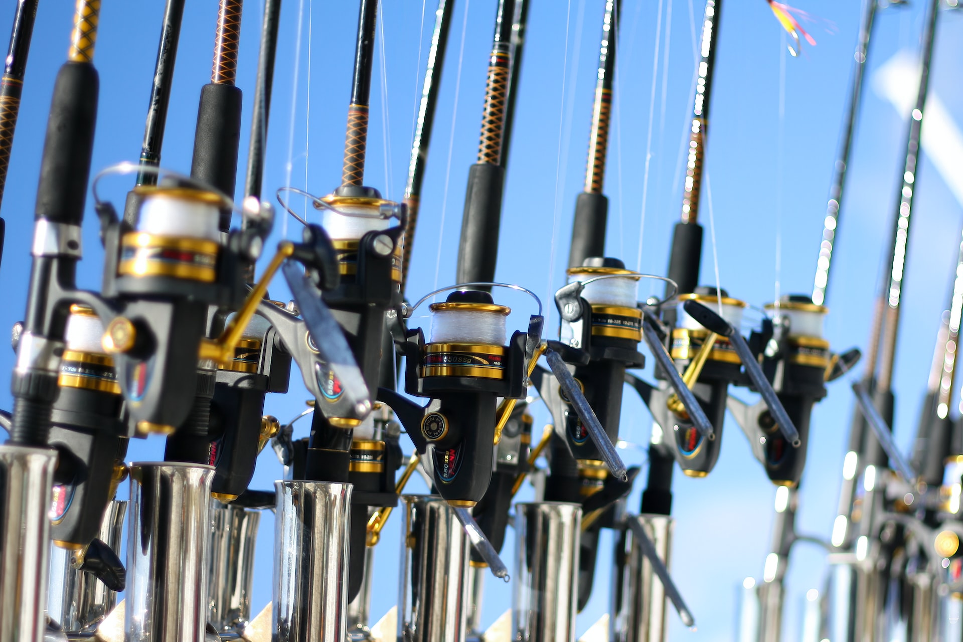 The Best Rod and Reel Size for Sheepshead Fishing